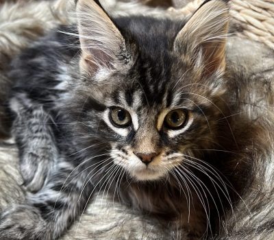 IMG_7641-scaled-e1686317979982